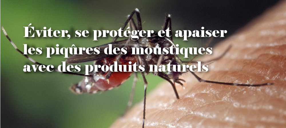 Lire la suite à propos de l’article Se protéger et apaiser les piqûres des moustiques avec des produits naturels